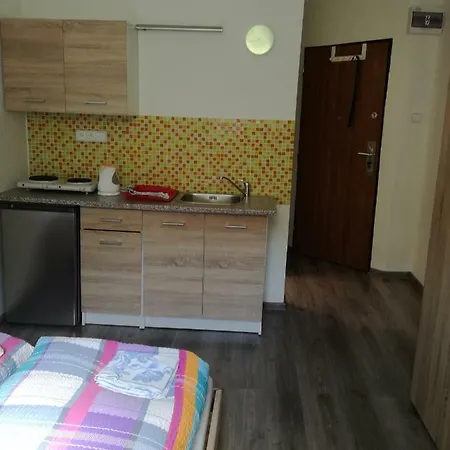 Apartman * 卡罗维发利